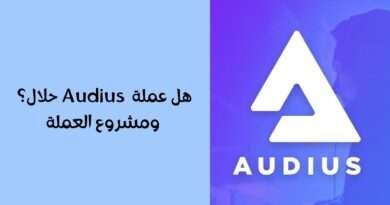 هل عملة AUDIO حلال؟ ومشروع العملة