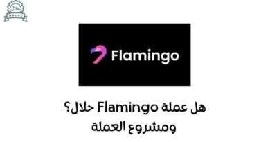 هل عملة Flamingo حلال؟ ومشروع العملة