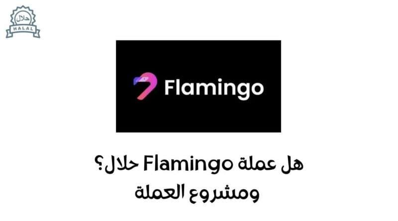 هل عملة Flamingo حلال؟ ومشروع العملة